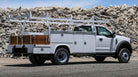 Royal 10' Combo DRW Service Body