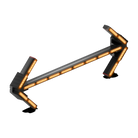 Feniex Quantum Arrow lit amber